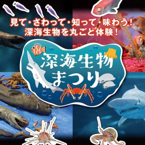 さわって、知って、味わう！「深海生物まつり」八景島シーパラダイスで