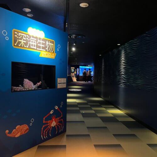 謎の深海汁も限定復活。サンシャイン水族館のゾクゾク深海生物2024に