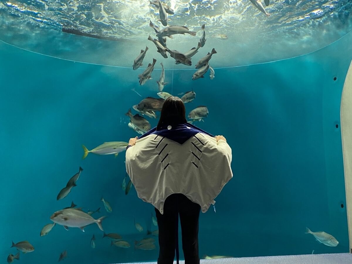 四国水族館の人気キャラがふたたび！大人もすっぽり包み込む、エイを形 