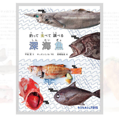幻となっていた「たくさんのふしぎ 釣って 食べて 調べる 深海魚」が