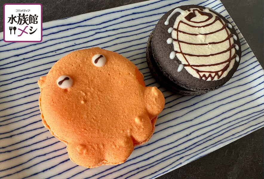 ダイオウマカロン現る。サンシャイン水族館の深海生物スイーツ | フカ