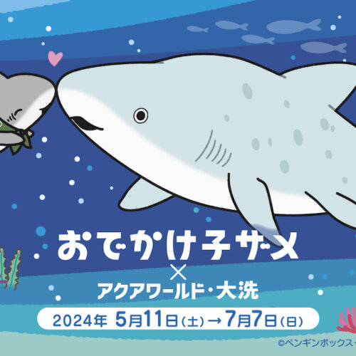 おでかけ子ザメが期間限定でアクアワールド茨城県大洗水族館に