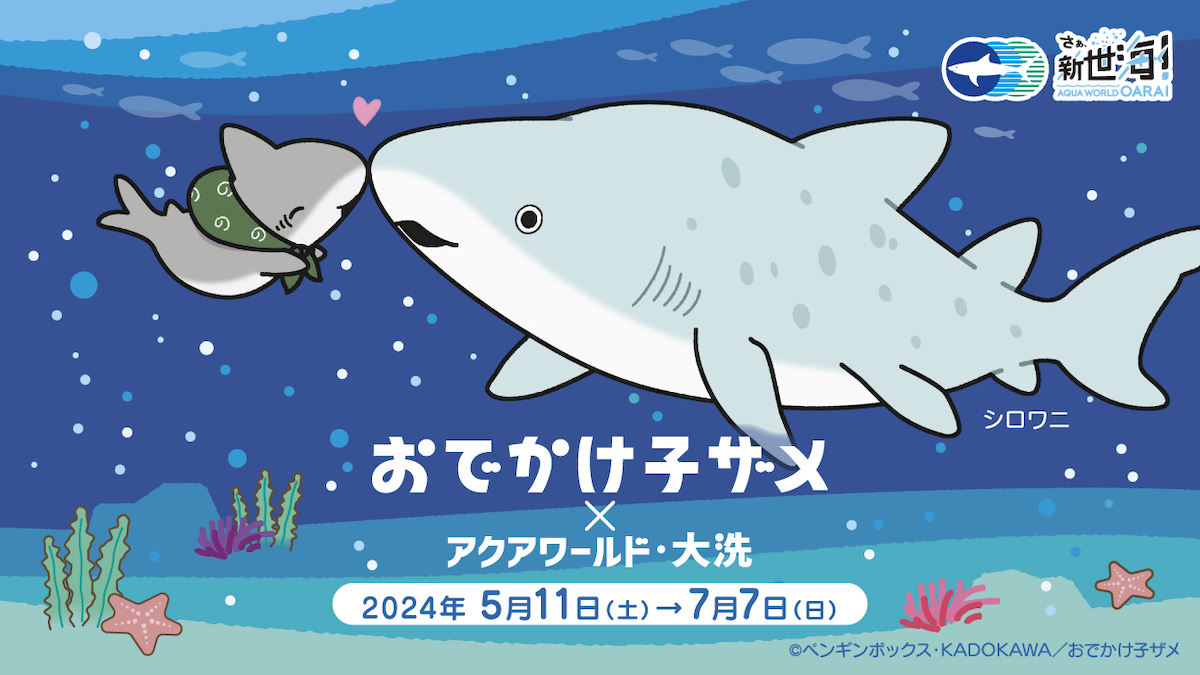 おでかけ子ザメが期間限定でアクアワールド茨城県大洗水族館に