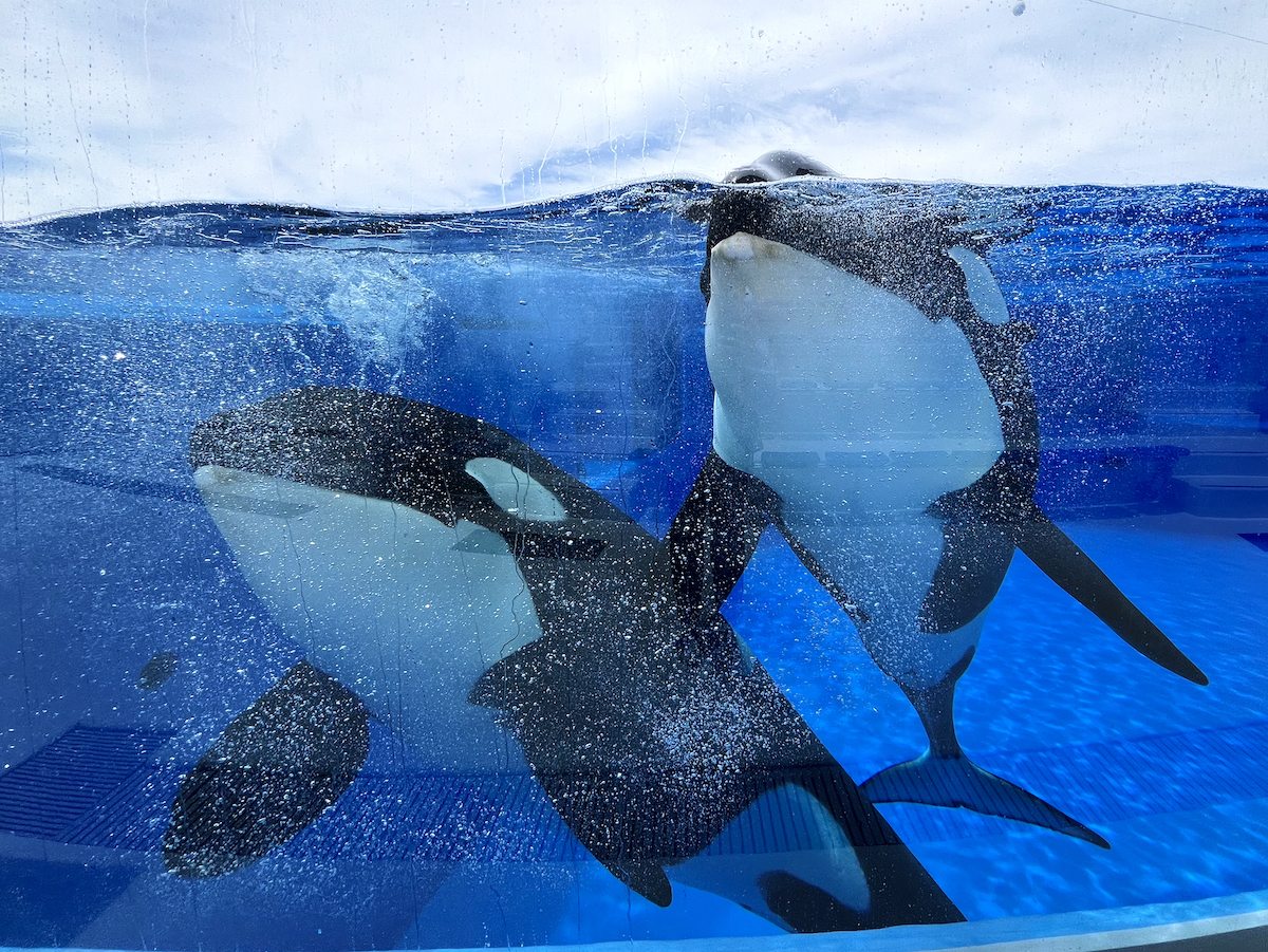深海生物には会える？ついにオープンの神戸須磨シーワールドに潜入