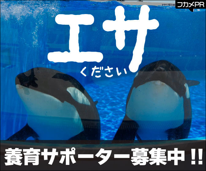エサください