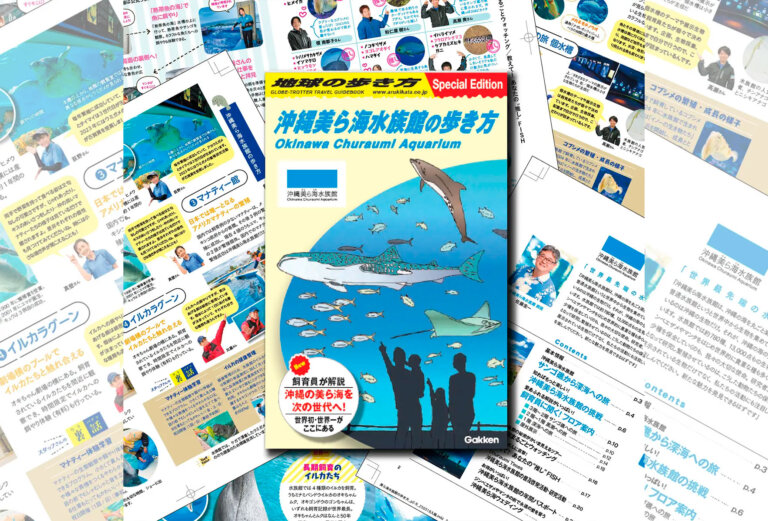 沖縄美ら海水族館の歩き方
