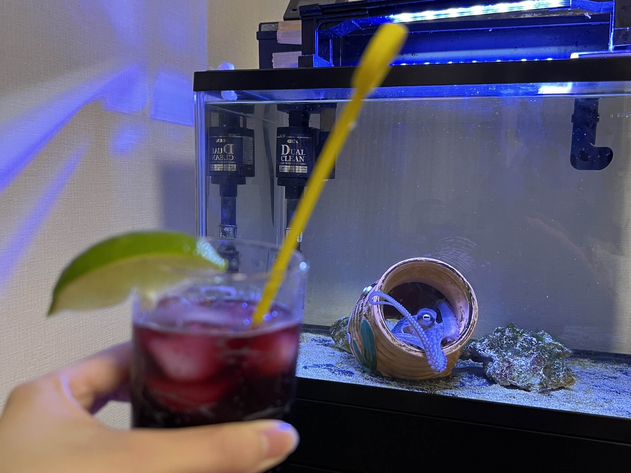 グラスに向かって腕を伸ばしてくるうめぼし