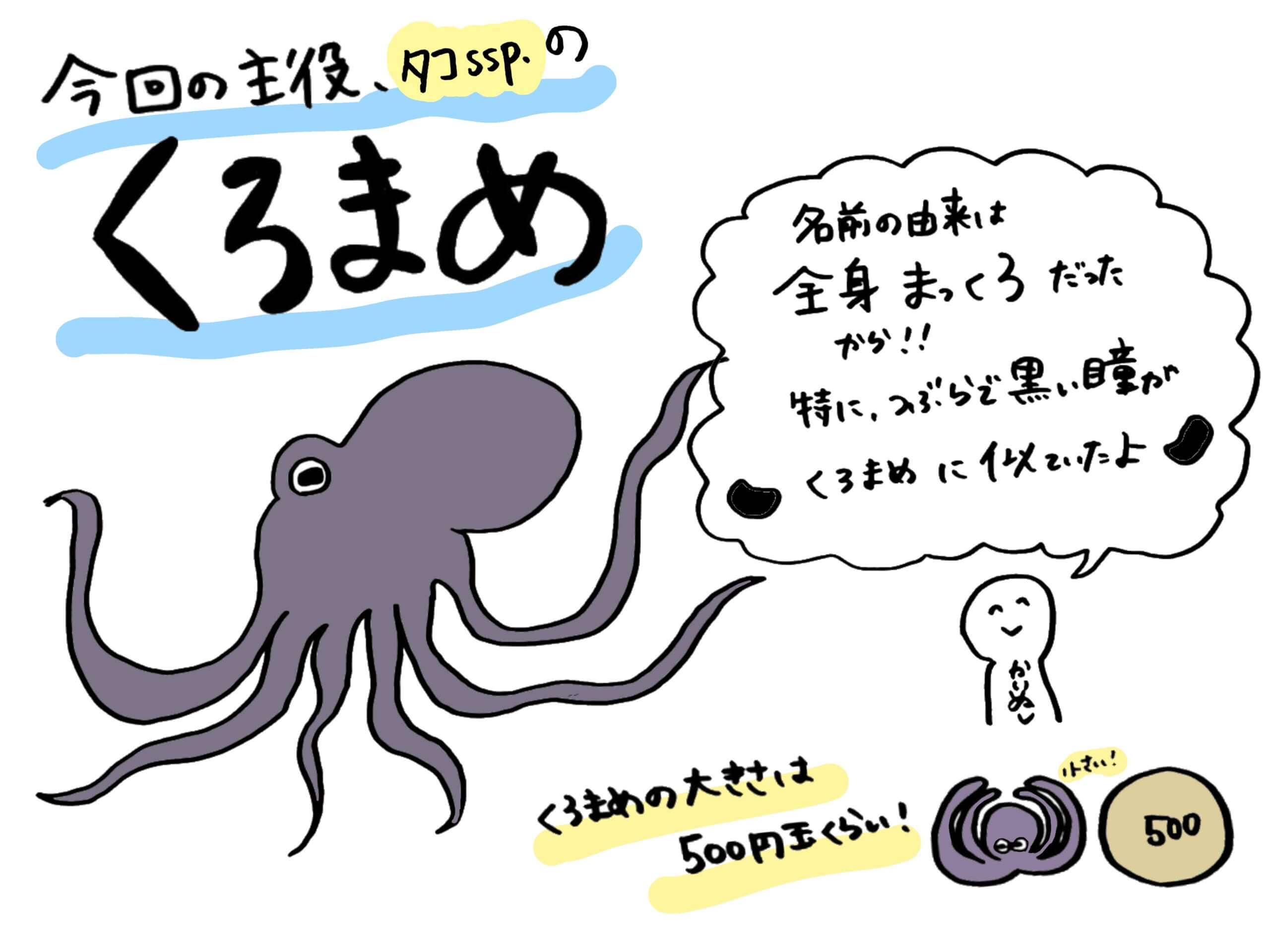 タコssp.のくろまめ