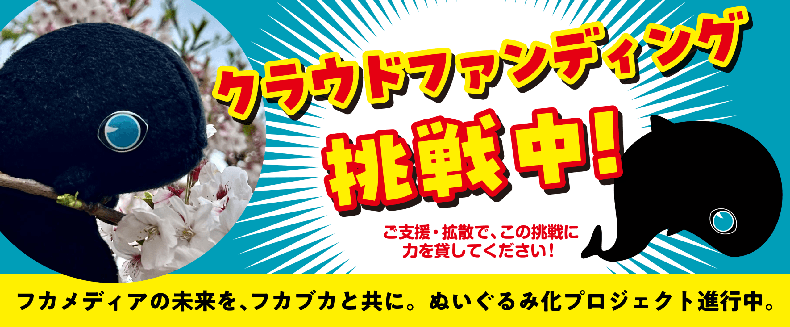 クラウドファンディング挑戦中