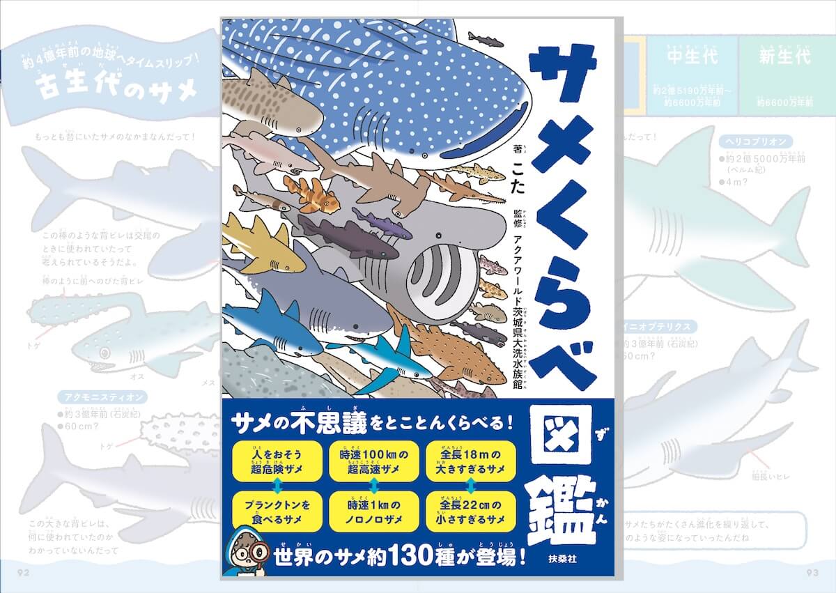 古代から深海まで、“怖い”だけじゃない魅力と不思議に迫る『サメくらべ